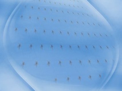 科学方法排行榜最实用的实验问题解决手册